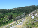 Monte Calvario