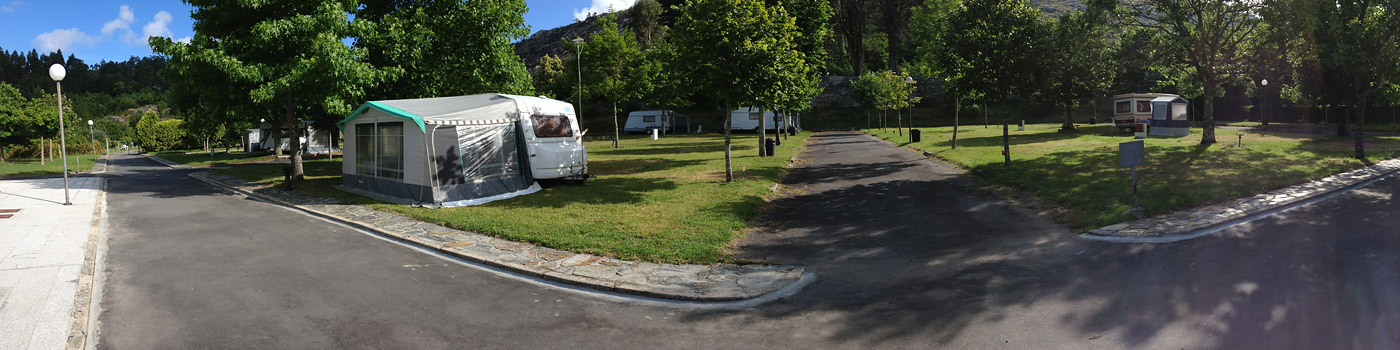 Emplacements avec les arbres et l'herbe